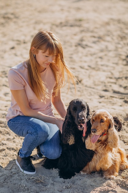 Pet walker having a stroll with cocker spaniel dogs