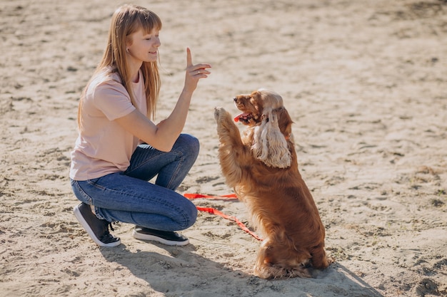 Pet walker having a stroll with cocker spaniel