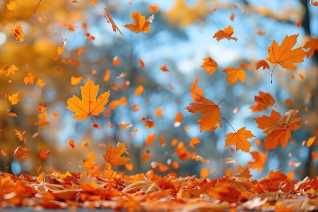 秋や春のプロの写真に輝く青い空から落ちる花びらのコンフェッティ