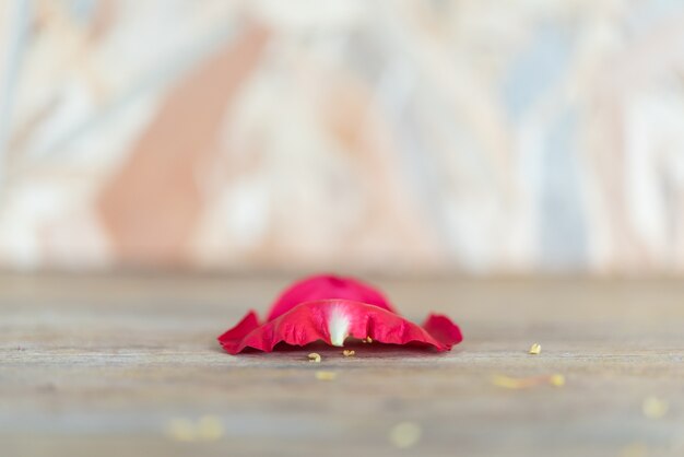 赤いバラ花の自然の花弁バレンタインの庭から美しい花