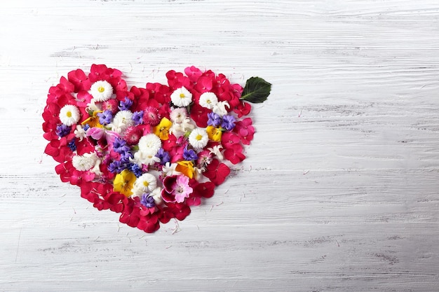 Petals of beautiful spring flowers in shape of heart on wooden background