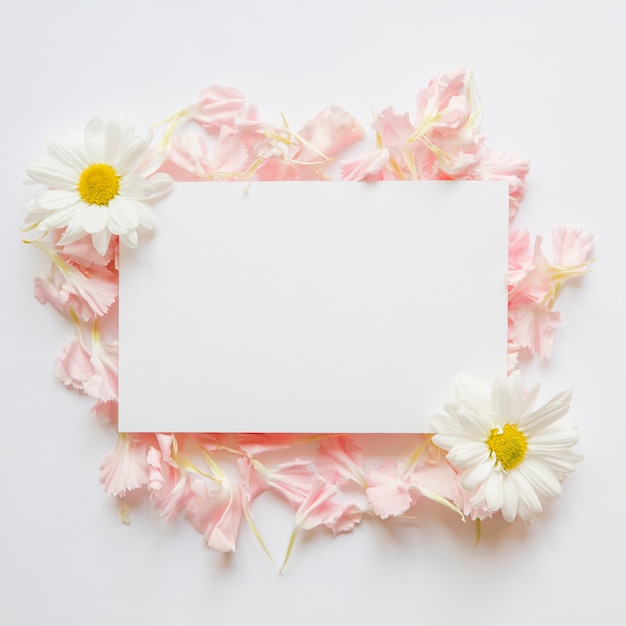 Foto petali e camomille vicino al foglio di carta