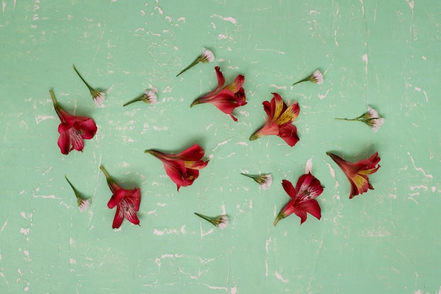 petals on green wooden table