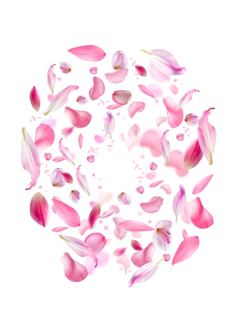 petals splashing