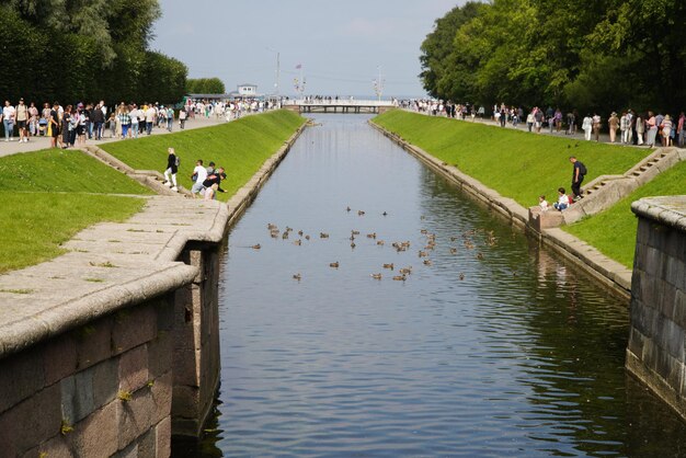 PETERGOF RUSSIA August 20 2022 the territory of the palace and park complex Peterhof Grand Palace Grand Cascade Sea Canal and Samson's Fountain