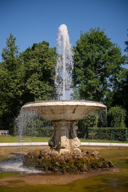 Foto peterhof palace and park ensemble luglio 2022 fontana con acqua a forma di brocca