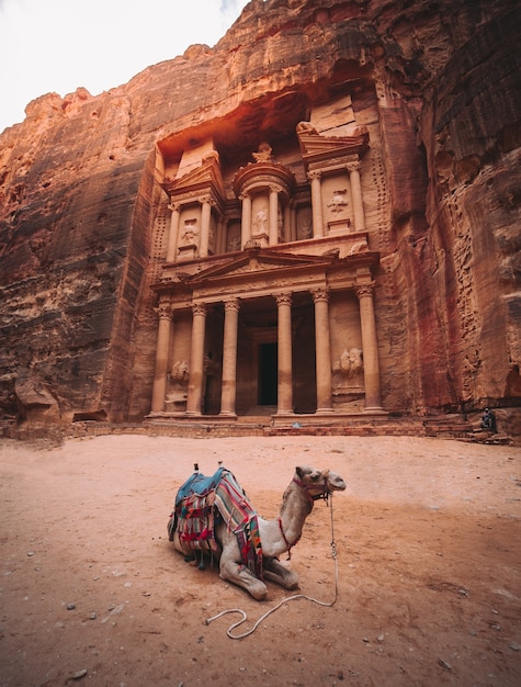 Petra