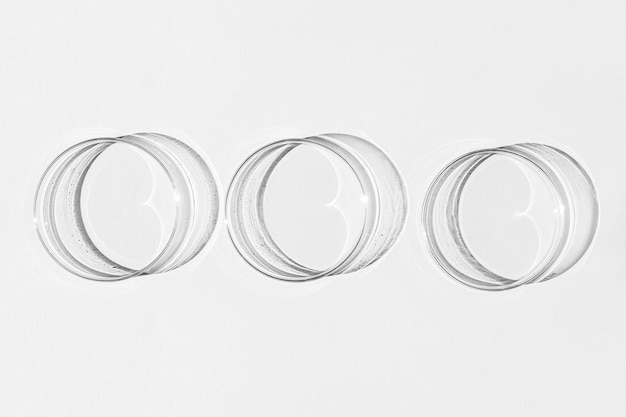 사진 페트리 접시 흰색 배경 실험실 절반에 페트리 컵 세트
