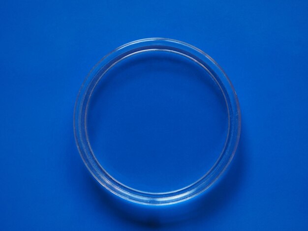 Petri dish for cell culture over blue