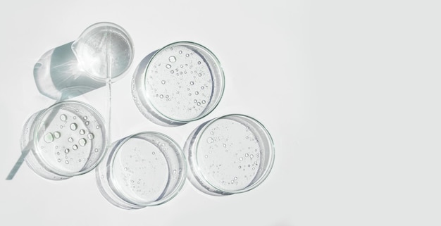 Petri dish gel flask crystallization bowl Test tubes Laboratory View from above Medicine gel texture white pipette samples research Material collection Glass baguette