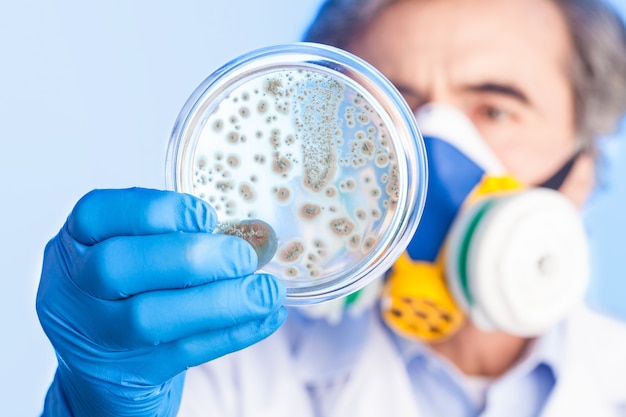 Petri dish in hand of scientist, close-up view