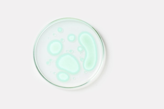 Petri dish on a light background With light green rocks grown in the laboratory Sensitivity of bacteria or viruses to antibiotics