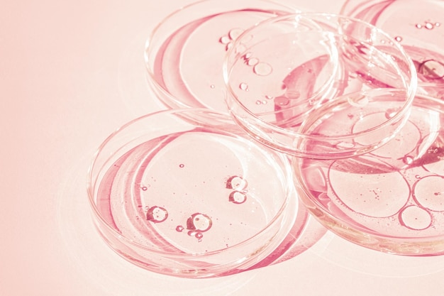 Petri dish Petri cups with liquid Kit Chemical elements oil cosmetics Gel water molecules viruses Closeup On a pink background