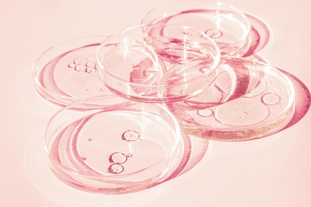 Petri dish Petri cups with liquid Kit Chemical elements oil cosmetics Gel water molecules viruses Closeup On a pink background