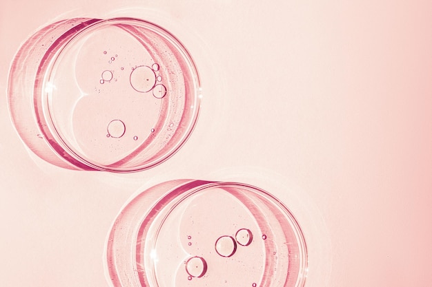 Petri dish Petri cups with liquid Kit Chemical elements oil cosmetics Gel water molecules viruses Closeup On a pink background