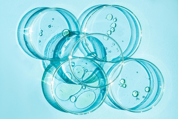 Petri dish Petri cups with liquid Set Chemical elements oil cosmetics Gel water molecules viruses Closeup On a blue background