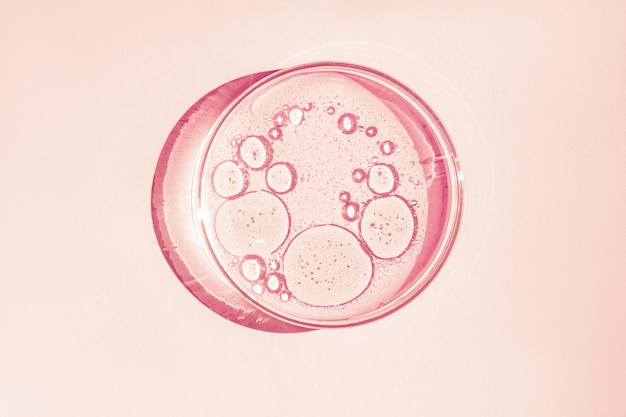 Petri dish Petri's cup with liquid Chemical elements oil cosmetics Gel water molecules viruses Closeup On a pink background