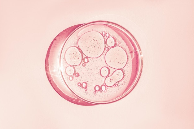 Petri dish Petri's cup with liquid Chemical elements oil cosmetics Gel water molecules viruses Closeup On a pink background