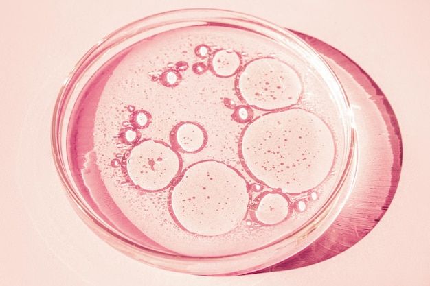 Petri dish Petri's cup with liquid Chemical elements oil cosmetics Gel water molecules viruses Closeup On a pink background