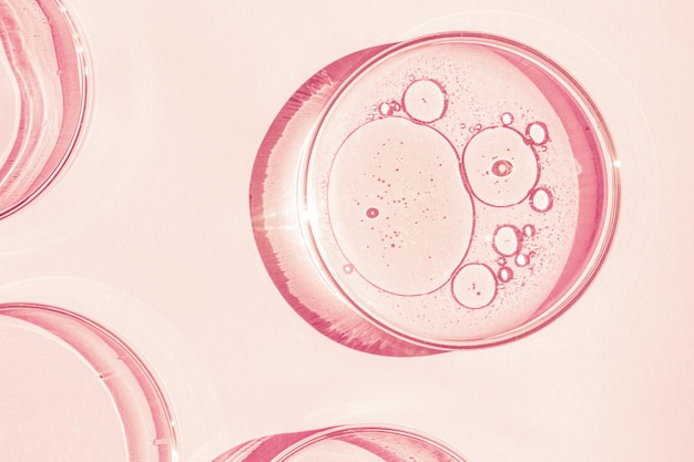 Petri dish Petri's cup with liquid Chemical elements oil cosmetics Gel water molecules viruses Closeup On a pink background