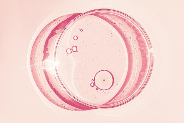 Petri dish Petri's cup with liquid Chemical elements oil cosmetics Gel water molecules viruses Closeup On a pink background