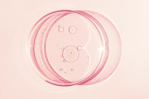 Petri dish Petri's cup with liquid Chemical elements oil cosmetics Gel water molecules viruses Closeup On a pink background