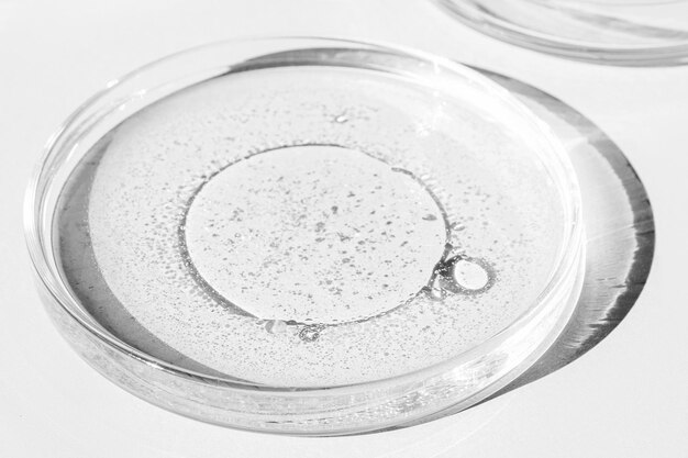 Petri dish Petri's cup with liquid Chemical elements oil cosmetics Gel water molecules viruses Closeup On a white background