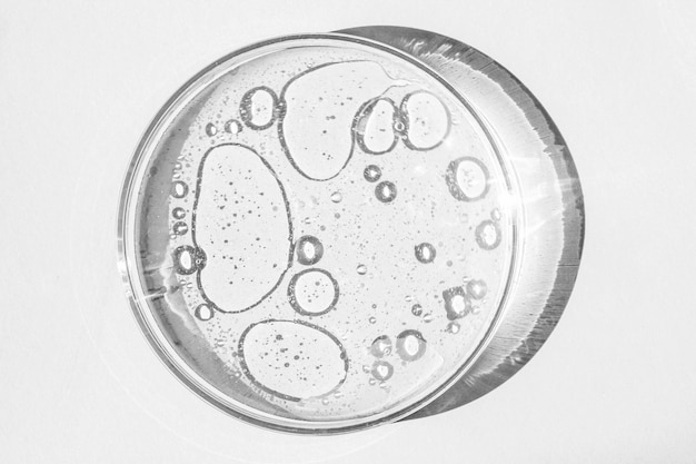 Petri dish Petri's cup with liquid Chemical elements oil cosmetics Gel water molecules viruses Closeup On a white background