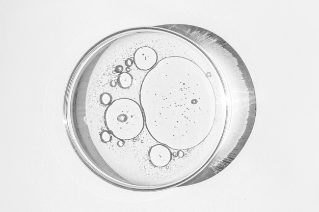 Petri dish Petri's cup with liquid Chemical elements oil cosmetics Gel water molecules viruses Closeup On a white background