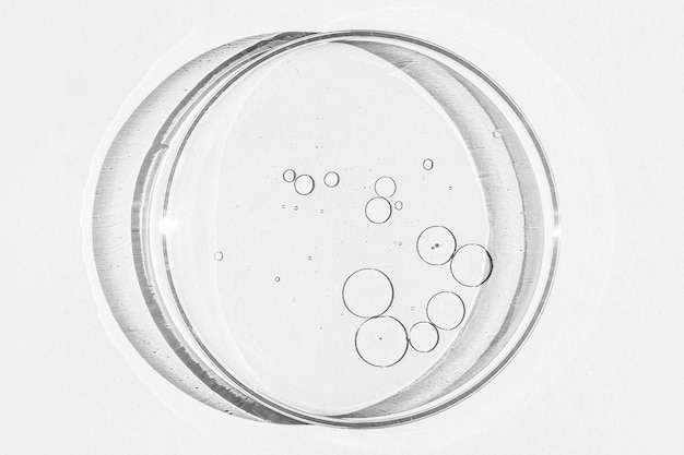 Petri dish Petri's cup with liquid Chemical elements oil cosmetics Gel water molecules viruses Closeup On a white background