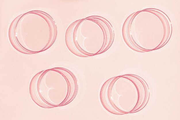 Petri dish A set of Petri cups On a pink background Laboratory half