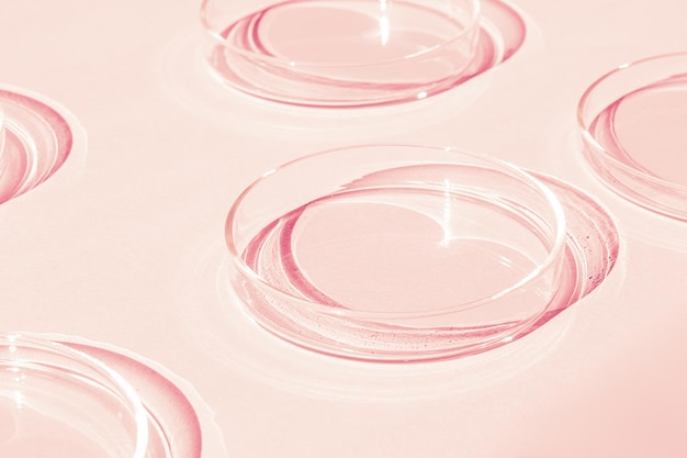 Petri dish A set of Petri cups On a pink background Laboratory half