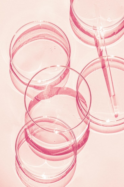 Petri dish A set of Petri cups A pipette glass tube On a pink background