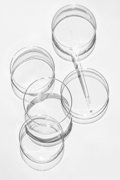 Petri dish A set of Petri cups A pipette glass tube On a white background