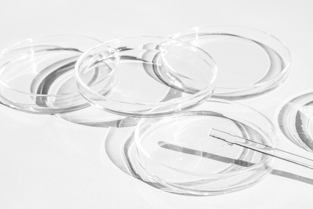 Petri dish A set of Petri cups A pipette glass tube On a white background