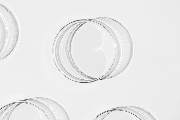 Petri dish A set of Petri cups On a white background Laboratory half