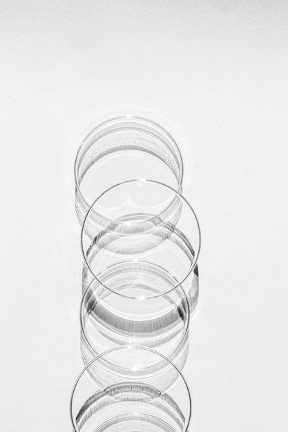 Petri dish A set of Petri cups On a white background Laboratory half