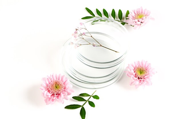 Petri dish with flowers. laboratory botanical background. laboratory clinical development, natural ingredients.