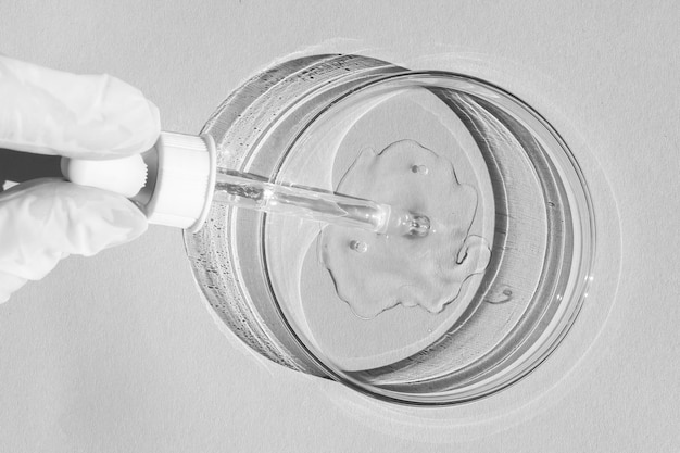 petri dish with transparent gel a gloved hand holds a dispenser a pipette on a white background