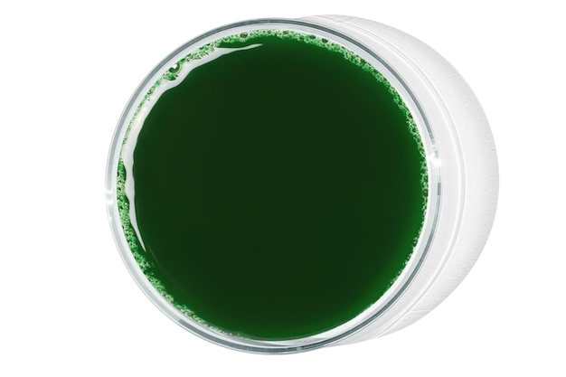 Petri-schotel geïsoleerd op lege achtergrond Groene vloeistof in een Petri- schotel