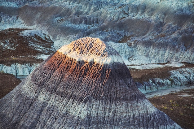 Foto parco nazionale della foresta pietrificata dell'arizona