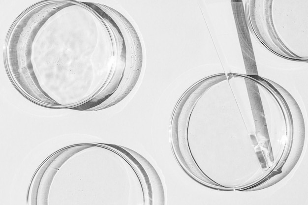 Petrischaal Een set van Petri-cups Een pipet glazen buis Op een witte achtergrond