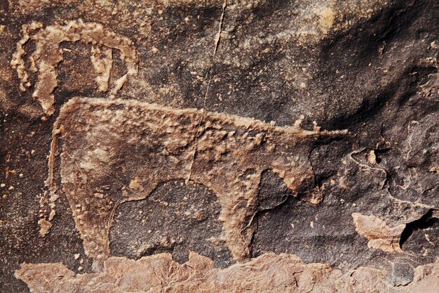 Petroglyph in Morocco