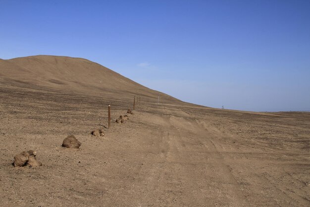 Petrogylphs of Atacama