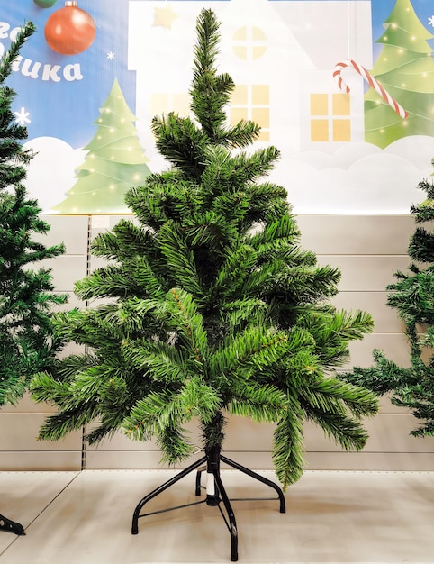 Petrozavodsk, Russia - 03 November, 2021: Christmas tree for sale in the market, shop. Preparing for Christmas eve, new year party.