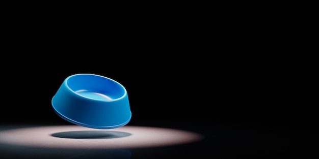 Pets Bowl in the Spotlight Isolated