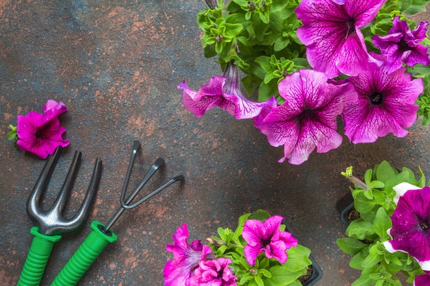 Petuniabloemen in een mand, strohoed en tuinhulpmiddelen op een houten achtergrond.