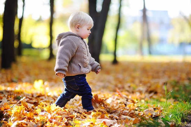 Peuter die in het park bij de herfst loopt. kleine jongen geniet van zonnige dag