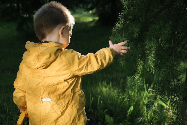 Peuter ontdekt wereld door groene takken van bomen aan te raken Duurzaamheidsconcept