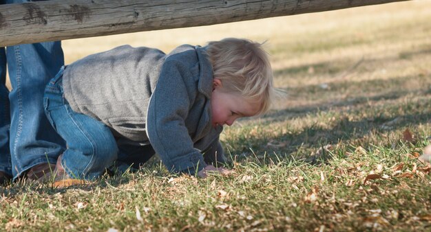 Peuterjongen met een geweldige dag in het park.